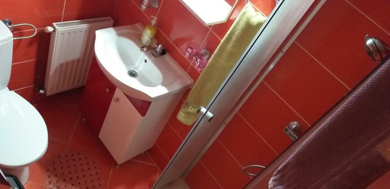 Pensiunea Casa Stet Toader Iulian Săpînţa Dış mekan fotoğraf